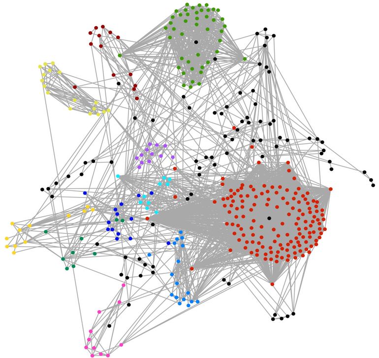 Geninteractienetwerk van genen die verschillend tot expressie komen in het houtstadium van de gemuteerde zandraket. Elk punt vertegenwoordigt een gen en de lijnen tussen de genen duiden de interacties aan. De kleuren geven clusters aan van genen die sterker met elkaar gelinkt zijn dan met andere delen in het netwerk. 