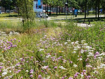 Soms kun je als bewonersgroep het beheer van een mooi bloemrijk parkje beter zelf doen. Daarvoor is het uitdaagrecht