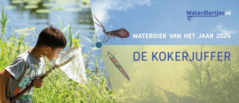 De kokerjuffer is waterdier van het jaar 2024