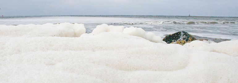 Het schuim van de afstervende algen wordt alleen bij aanlandige wind op het strand geblazen