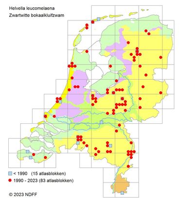 Verspreidingskaartje Zwartwitte bokaalkluifzwam