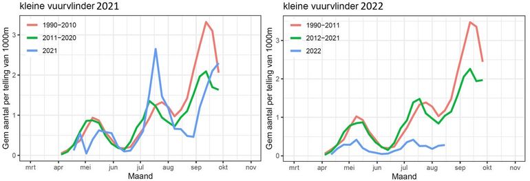 Kleine vuurvlinder in het meetnet vlinders: gemiddelde aantallen per route per telling van 1000 meter in verschillende perioden in 2021 en 2022