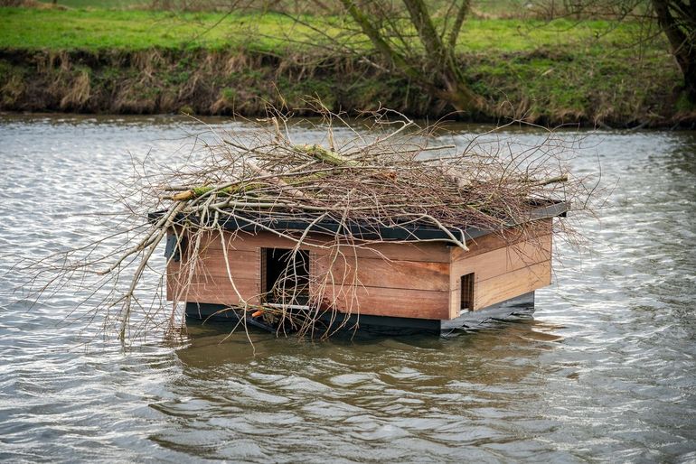 Drijvende hoogwatervluchtplaats