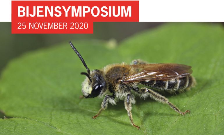 Het Bijensymposium vindt plaats op woensdag 25 november
