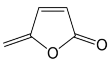 C5H4O2 5-methylideenfuraan-2-on