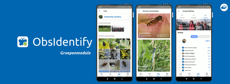 Bekijk elkaars waarnemingen in een groep en daag elkaar uit met groepschallenges