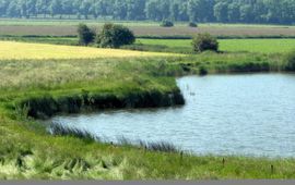 Ooijpolder landschap