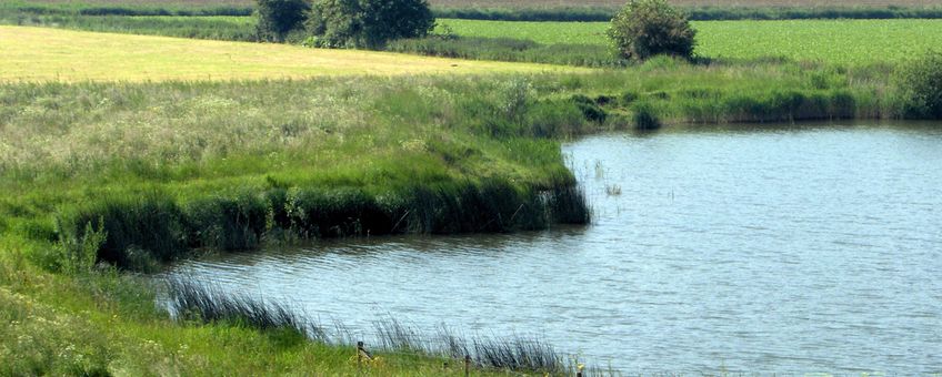 Ooijpolder landschap