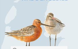 Vogelbescherming Nederland App Wadvogels.
Vogels van het Waddengebied