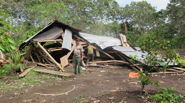 Home destroyed by elephants