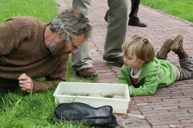 Onderzoek aan watermijten gebeurt door met een net door watervegetatie te scheppen en de inhoud in een witte bak te doen. Dan begint het turen in de bak, waarbij gezocht wordt naar kleine rode of groene speldenknopjes die razensnel rondzwemmen