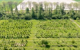 Martijn Tiemens, Staatsbosbeheer (overleg met Staatsbosbeheer voor gebruik van het beeld) Overzicht genenbank-west