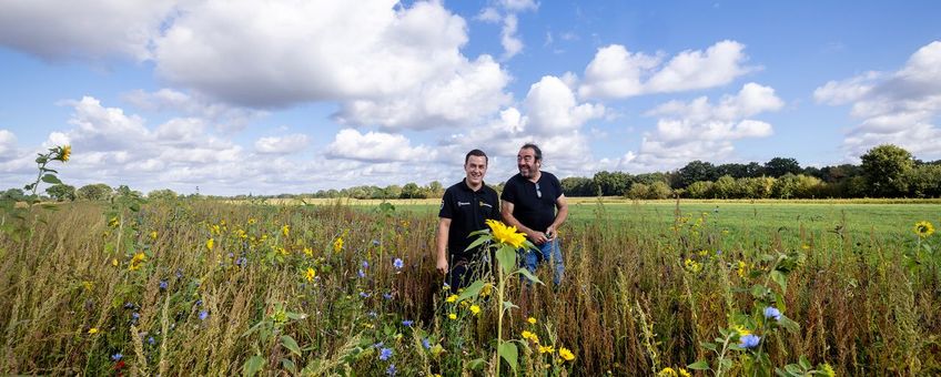 Joris (links) en Peter (rechts) Verstegen in de kruidenrijke akkerrand.