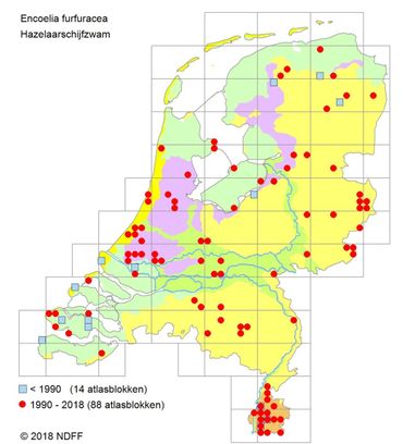 Verspreidingskaartje Hazelaarschijfzwam