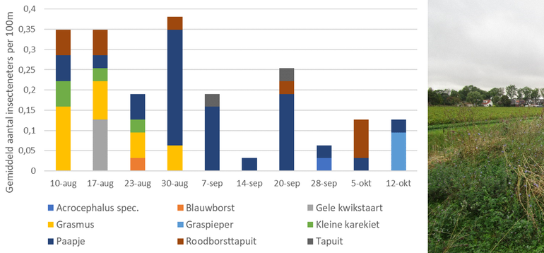 Gemiddeld aantal insecteneters in akkerranden per honderd meter over een periode van tien weken in het Buijtenland van Rhoon. Acrocephalus spec. was in dit geval een kleine karekiet of bosrietzanger