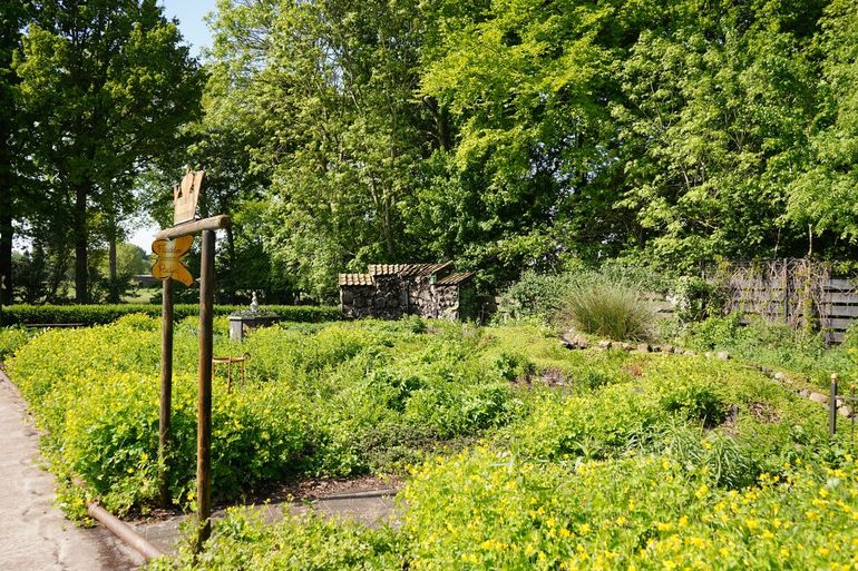 Vlindertuin - Halderberge
