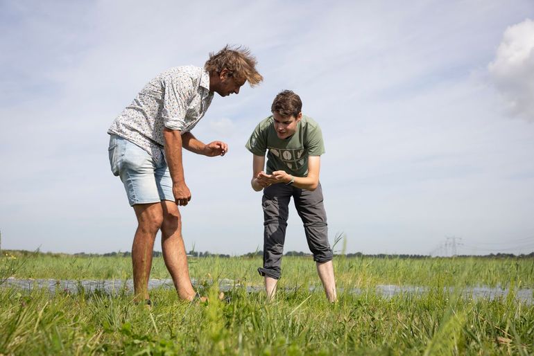 Jordy van der Beek zoekt samen met co-onderzoeksleider Maarten Schrama van Universiteit Leiden naar dieren in de ondergelopen Eendragtspolder