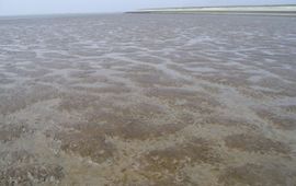 Het golvend landschap van de Kapellebank dat gedurende aan aantal weken per jaar te zien is