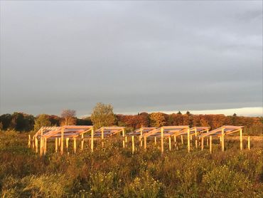 Een van onze droogte-experimenten op de Veluwe