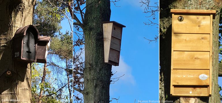 Geadviseerd wordt om vogel- en vleermuiskasten bij elkaar te plaatsen. Als aparte kasten (links) of als een combi-vleermuis-mezenkast (midden en rechts)