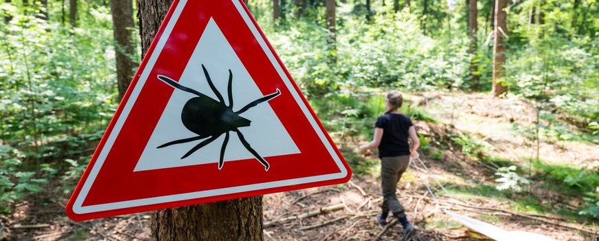 High Number of Lyme Diagnoses in Northeast Netherlands: Trends and Statistics