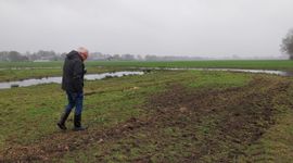 Kievitseieren tellen in het weiland.