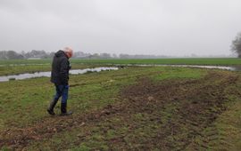 Kievitseieren tellen in het weiland.