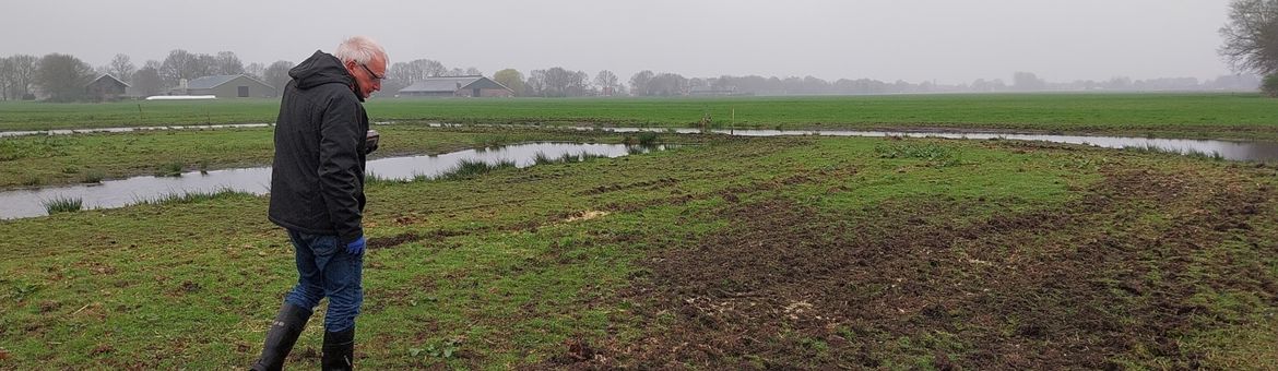 Kievitseieren tellen in het weiland.