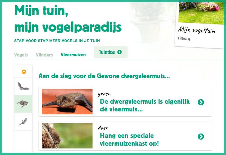 Op Mijn Vogeltuin vind je ook tuintips voor vleermuizen