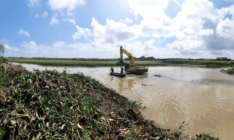 Efforts to remove water hyacinth from Bubaliplas