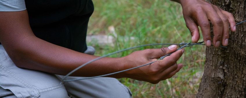 Lindsay Lewis van het Paarl Mountain Nature Reserve inspecteert een valstrik tijdens een strikkenpatrouille door het natuurgebied.