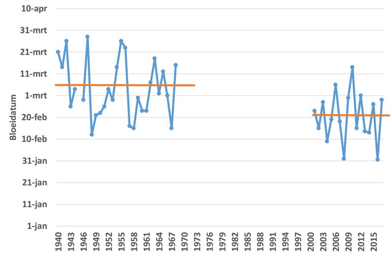 Jaarlijkse mediaan van de eerste bloeiwaarnemingen in de jaren 1940 tot en met 1968 en de jaren 2001 tot en met 2017