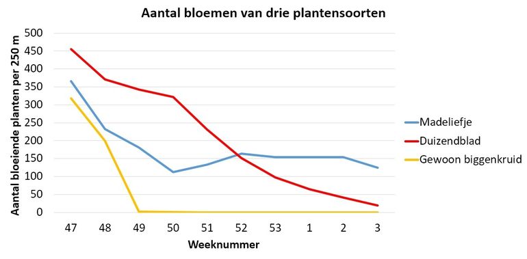 Aantal bloeiende planten van drie winterbloeiers in de omgeving van Zutphen