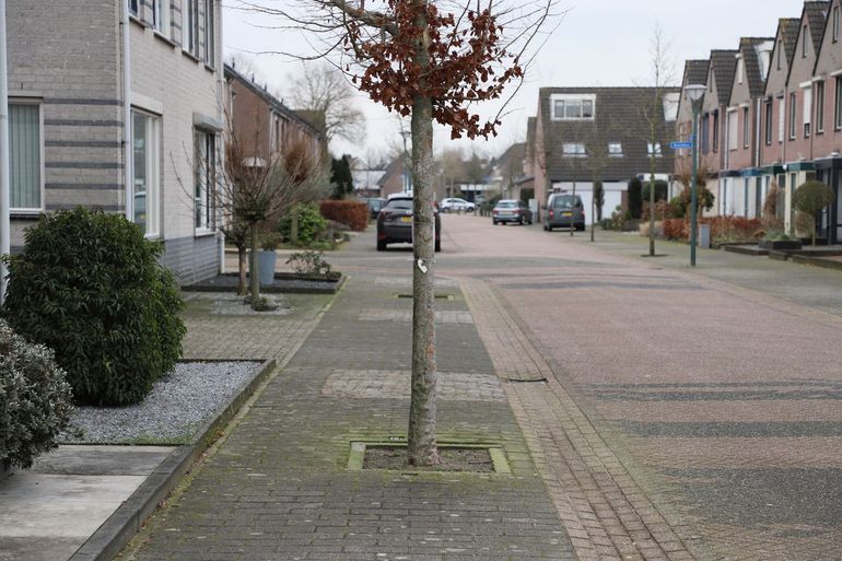 Groen is belangrijk, maar krijgt niet altijd de ruimte