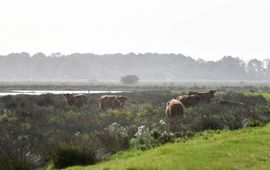 Xander Brinkman Onnerpolder eenmalig gebruik