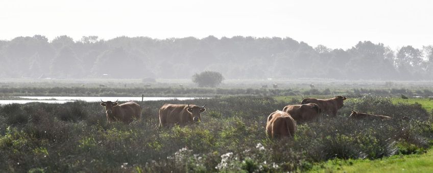 Onnerpolder  eenmalig gebruik