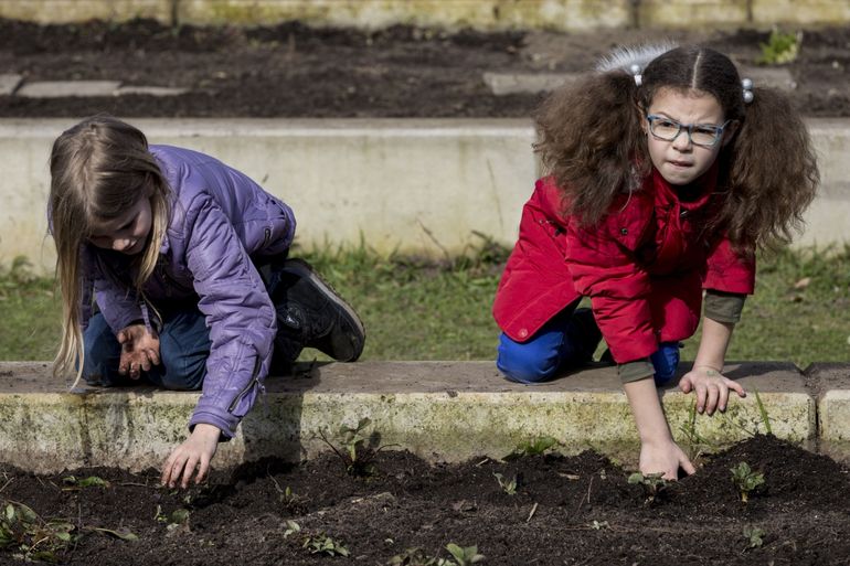 Plantjes planten doe je ook op een Schoolplein van de Toekomst