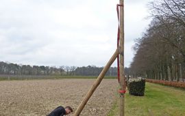 Vleermuispaalkast VOOR EENMALIG GEBRUIK