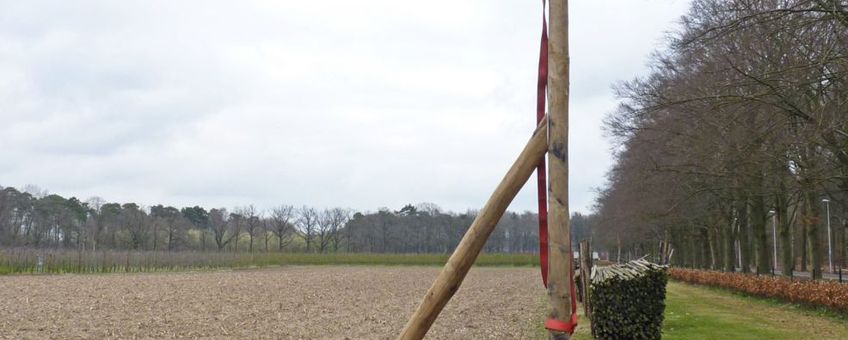 Vleermuispaalkast VOOR EENMALIG GEBRUIK