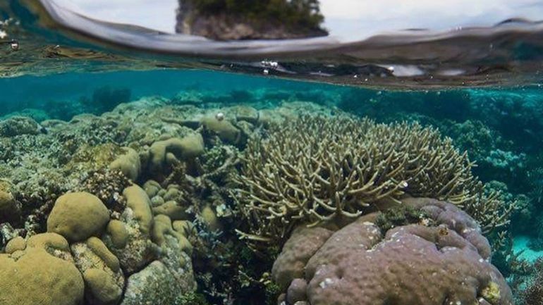 Land en zee, Raja Ampat, Indonesië