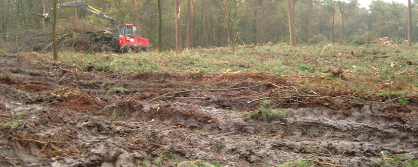 Machinaal verwijderen van tak- en tophout en jonge loofbomen op een kapvlakte met enkele overstaanders op de Amerongse Berg. Op de achtergrond het oorspronkelijke bos. De bodemverstoring is ernstig