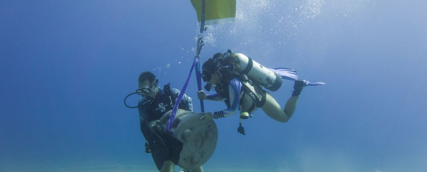 Nature Today  Designing the optimal artificial reef