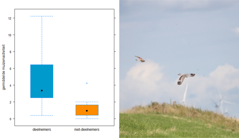 Figuur 2. Gemiddeld aantal sporen van muizenactiviteit per vierkante meter per dijkvak. Rechts: vogels die profiteren van hogere muizenactiviteit zijn muizeneters zoals torenvalk en grauwe kiekendief, hier boven een slaperdijk in Oost-Groningen