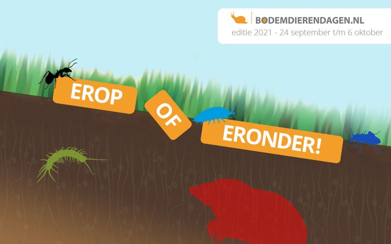 Bodemdierendagen 2021