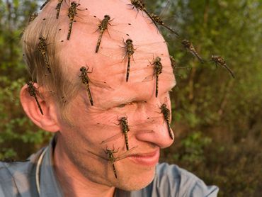 Selfie met net uitgeslopen noordse witsnuitlibellen