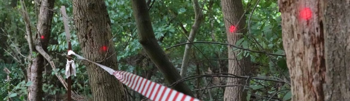 Stippen op de bomen in het Hilkensbergse Bos