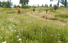 Kars Veling uitdaagrecht - primair