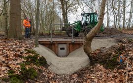 ulvenhoutse bos st annabos Stuw- eenmalig gebruik