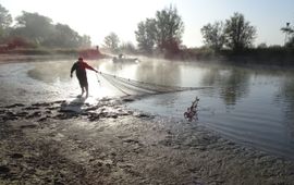 Bemonstering van de visgemeenschap met een zegen van 75 meter