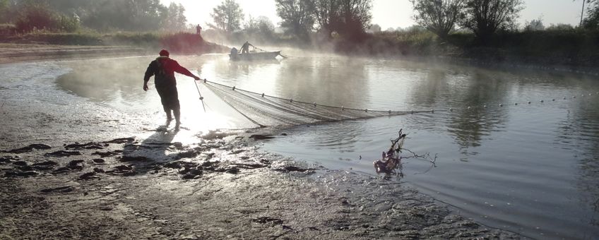 Bemonstering van de visgemeenschap met een zegen van 75 meter